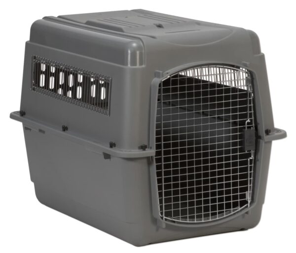 Pet Transport Service